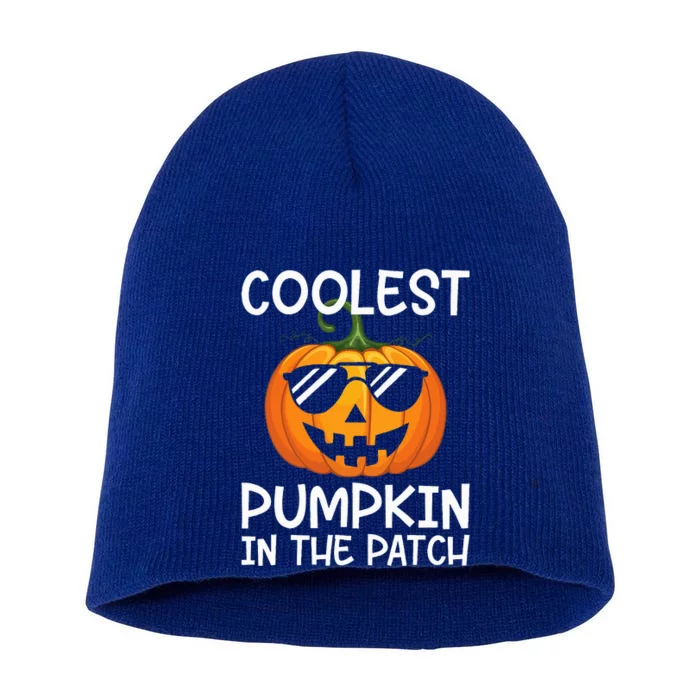 Coolest Pumpkin In The Patch Halloween Short Acrylic Beanie