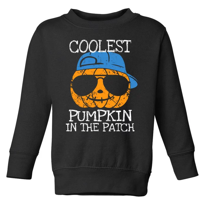 Coolest Pumpkin In The Patch Halloween Boy Girl Teens Toddler Sweatshirt