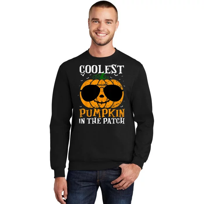 Coolest Pumpkin In The Patch Tall Sweatshirt