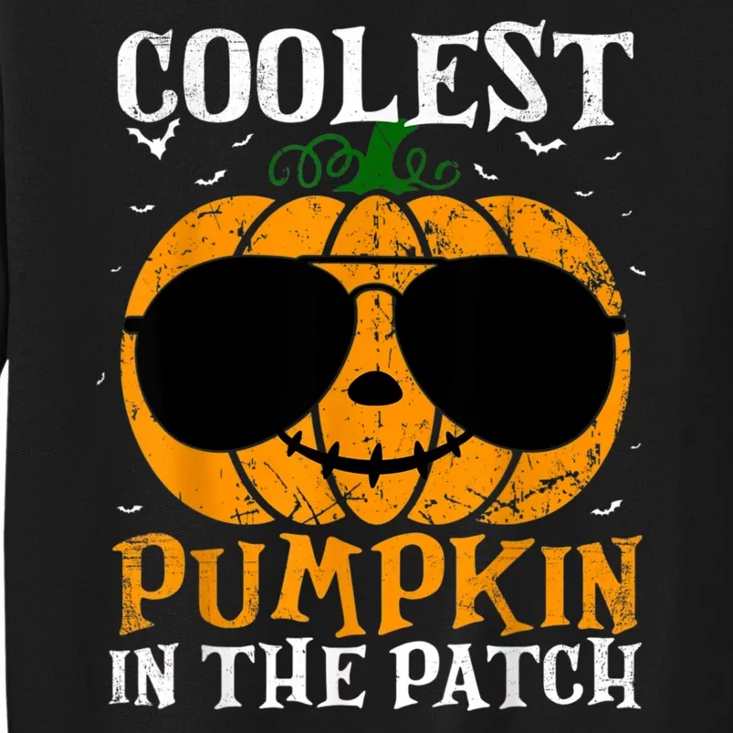 Coolest Pumpkin In The Patch Tall Sweatshirt