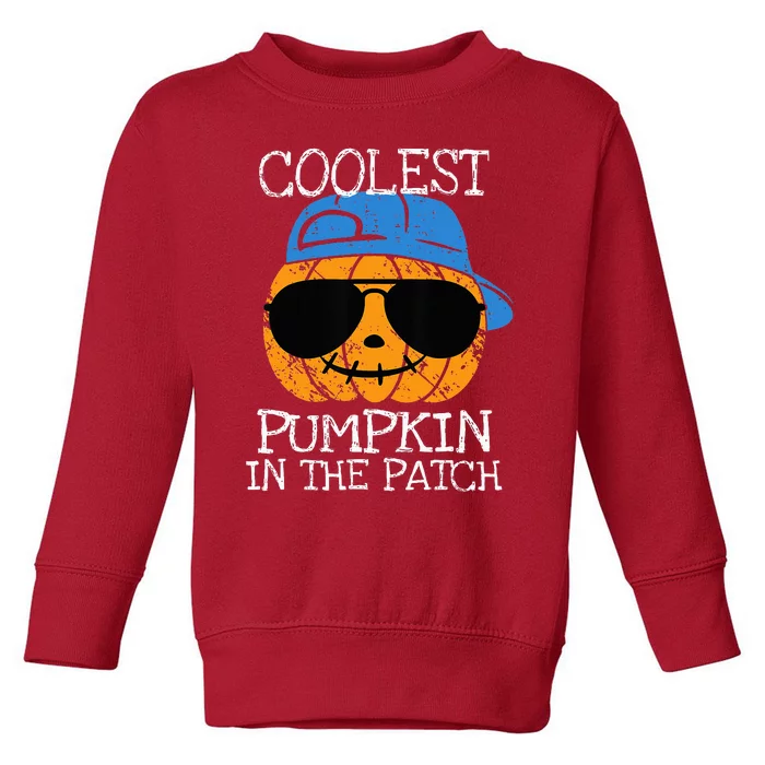 Coolest Pumpkin In The Patch Halloween Toddler Sweatshirt