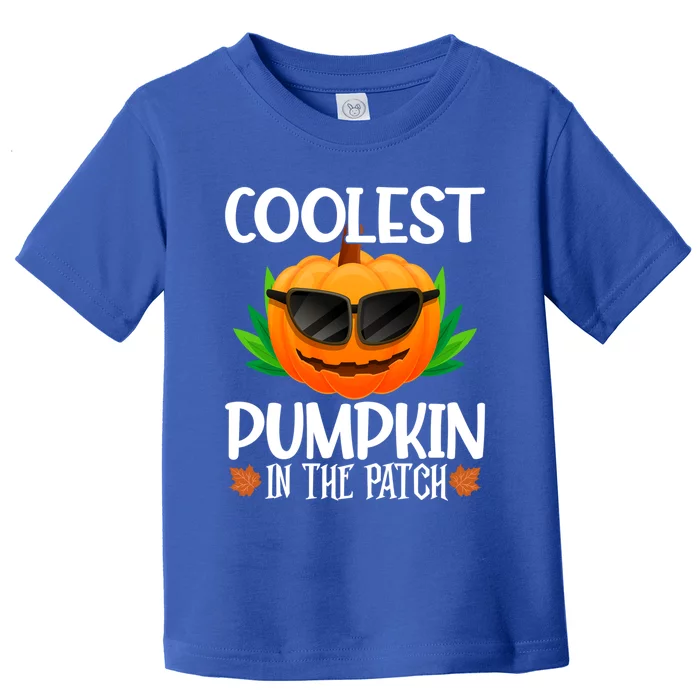 Coolest Pumpkin In The Patch Sunglasses Pumpkin Halloween Gift Toddler T-Shirt