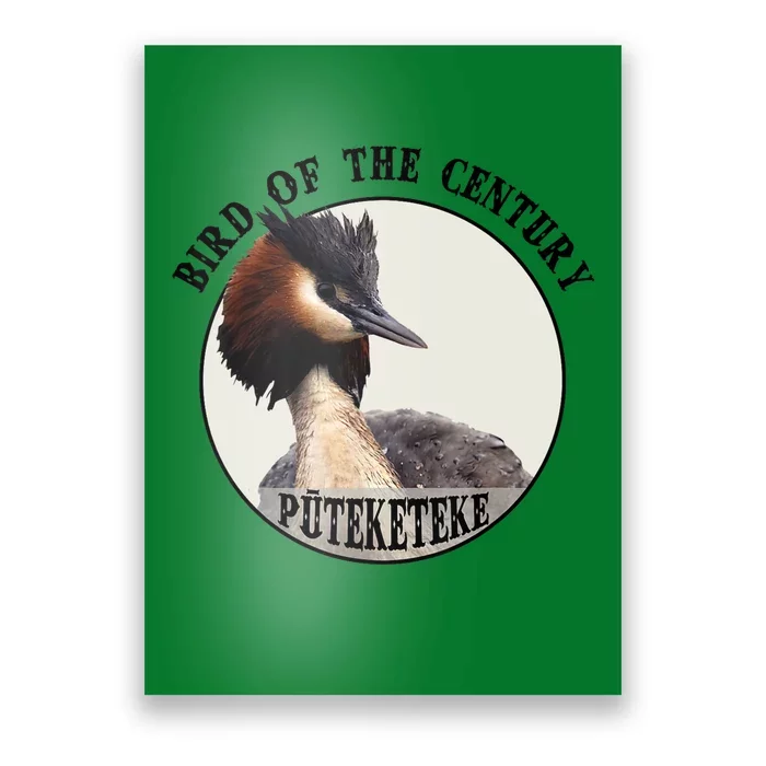 Cute Puteketeke New ZealandS Bird Of The Century Flower Poster