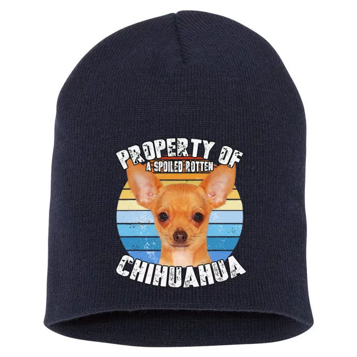 Chihuahua Property Of Cute Dog Short Acrylic Beanie