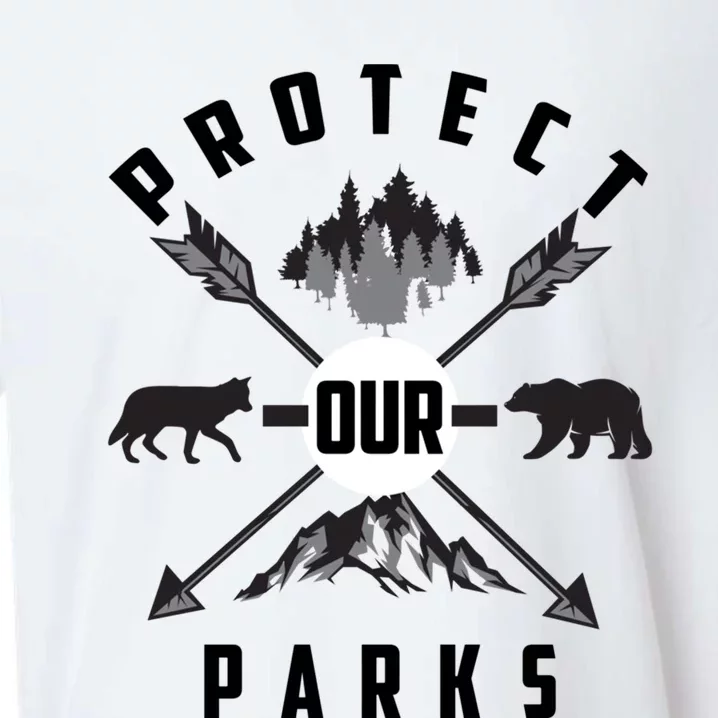 Cute Protect Our Parks Gift For Environt Advocate Gift Sueded Cloud Jersey T-Shirt