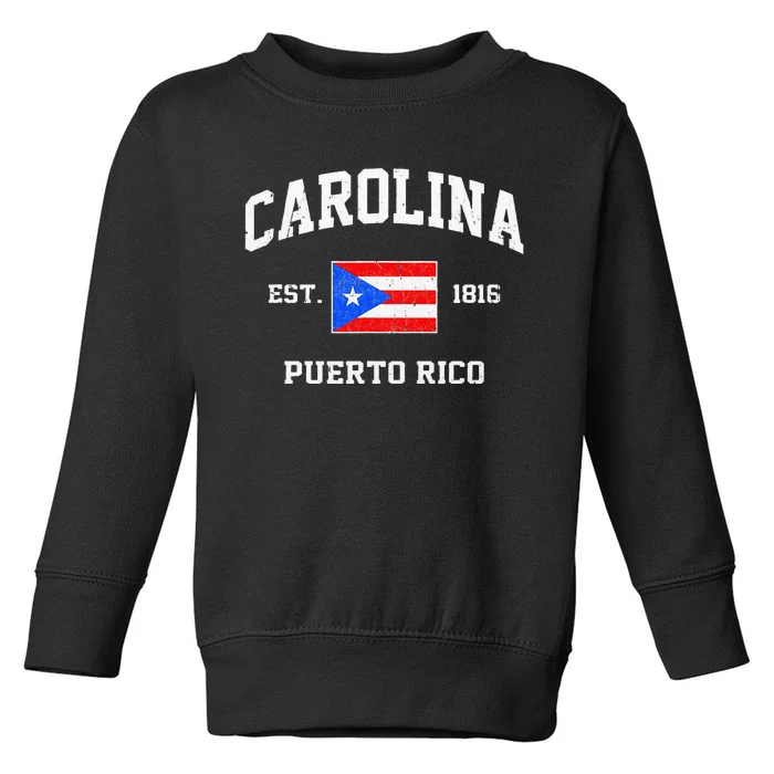 Carolina Puerto Rico Vintage Boricua Flag Athletic Style Toddler Sweatshirt