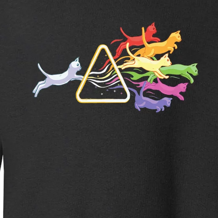 Cat Prism Rainbow Light Funny Physics Science Spectral Cat Toddler Sweatshirt