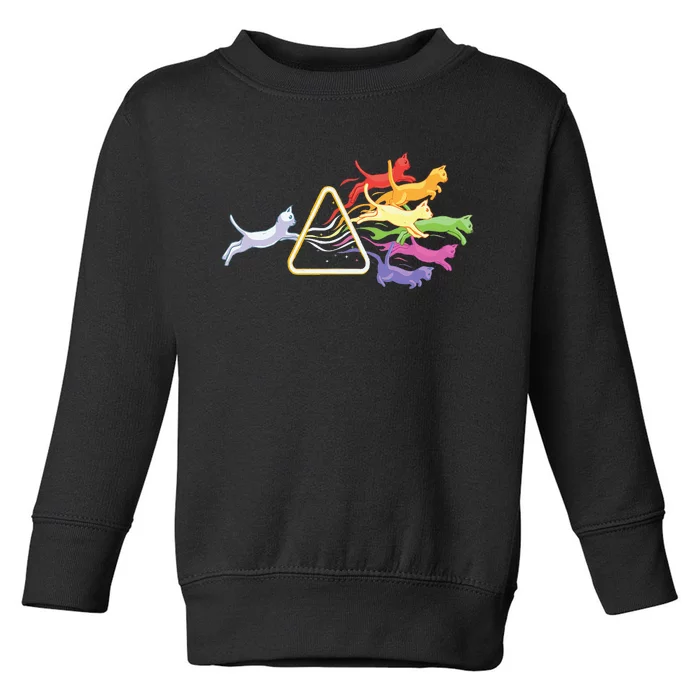 Cat Prism Rainbow Light Funny Physics Science Spectral Cat Toddler Sweatshirt