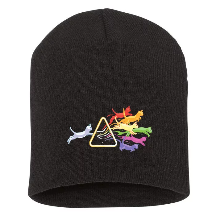 Cat Prism Rainbow Light Funny Physics Science Spectral Cat Short Acrylic Beanie