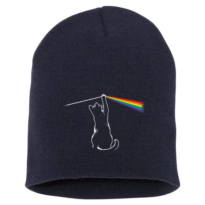 Cat Prism Rainbow Light Funny Physics Science Spectral Cat Short Acrylic Beanie