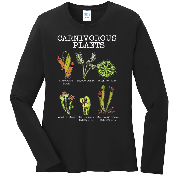 Carnivorous Plants Species Saracenia Venus Flytrap Ladies Long Sleeve Shirt