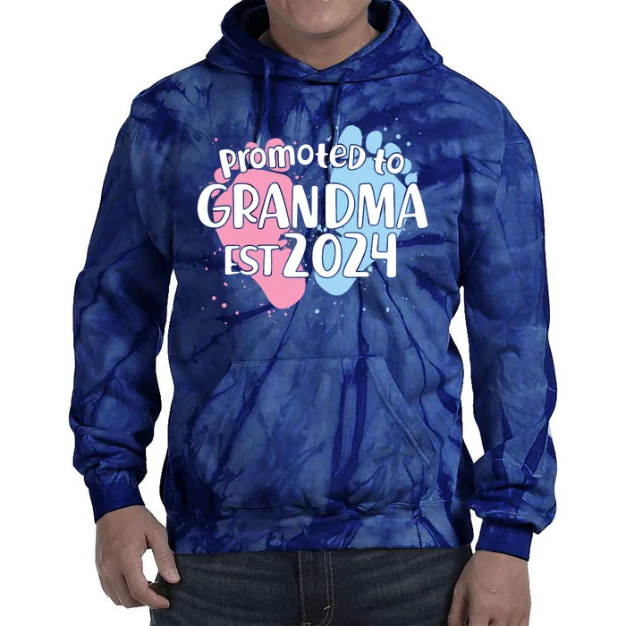 Cute Promoted To Grandma Est 2024 Tie Dye Hoodie