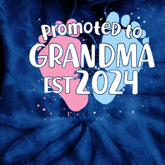 Cute Promoted To Grandma Est 2024 Tie Dye Hoodie