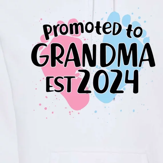 Cute Promoted To Grandma Est 2024 Premium Hoodie