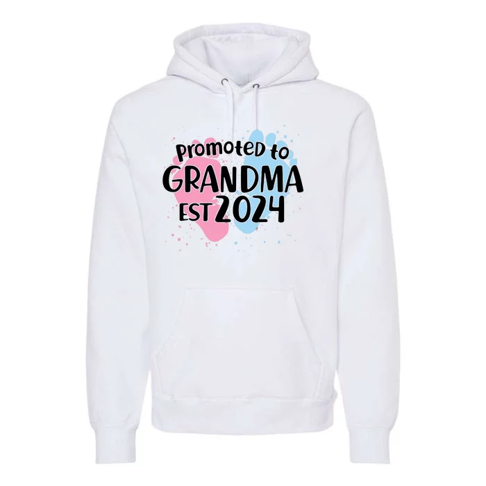 Cute Promoted To Grandma Est 2024 Premium Hoodie