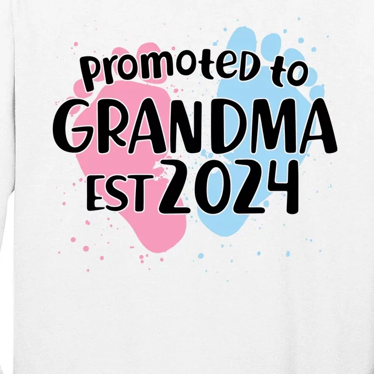 Cute Promoted To Grandma Est 2024 Tall Long Sleeve T-Shirt