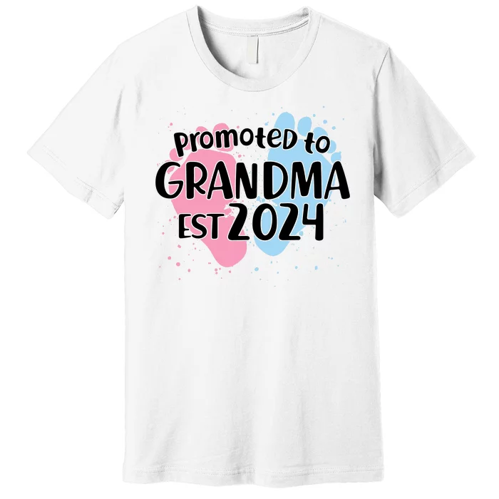 Cute Promoted To Grandma Est 2024 Premium T-Shirt