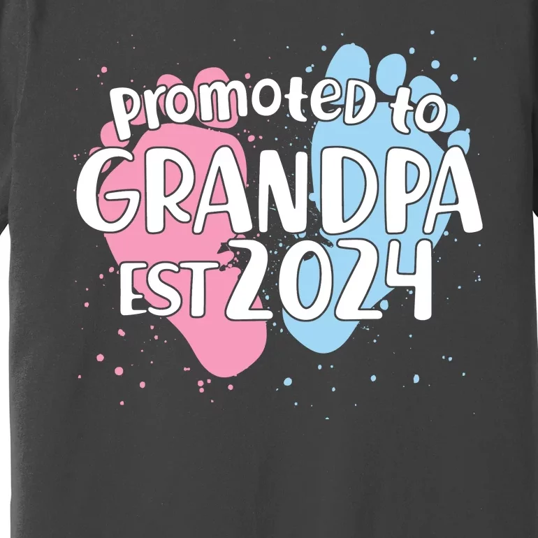 Cute Promoted To Grandpa Est 2024 Premium T-Shirt