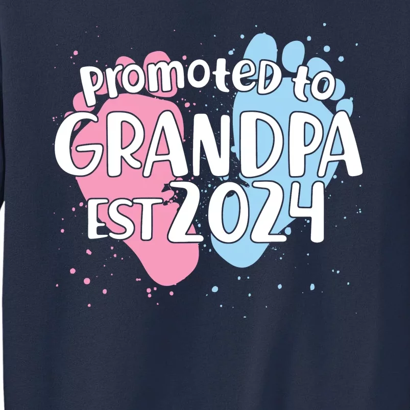 Cute Promoted To Grandpa Est 2024 Sweatshirt