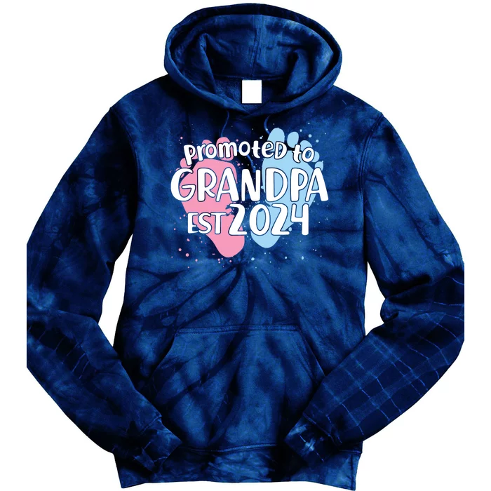 Cute Promoted To Grandpa Est 2024 Tie Dye Hoodie