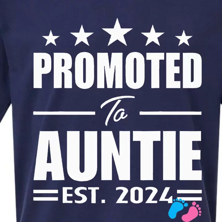 Cute Promoted To Aunt 2024 Funny Gender Reveal Pink Or Blue Sueded Cloud Jersey T-Shirt