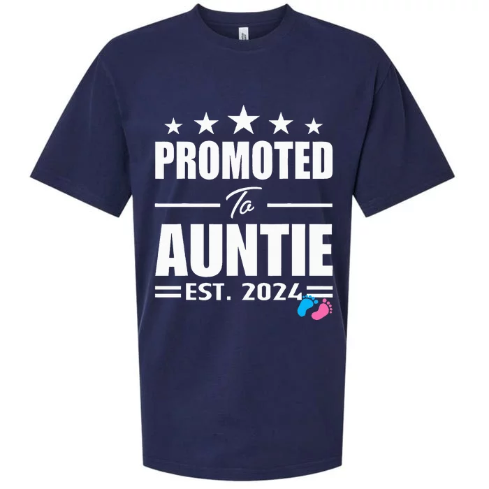 Cute Promoted To Aunt 2024 Funny Gender Reveal Pink Or Blue Sueded Cloud Jersey T-Shirt