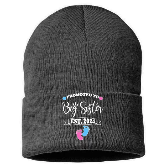 Cute Promoted To Big Sister Est 2024 Sustainable Knit Beanie