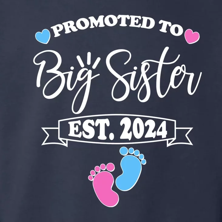 Cute Promoted To Big Sister Est 2024 Toddler Hoodie