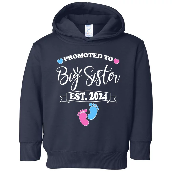 Cute Promoted To Big Sister Est 2024 Toddler Hoodie