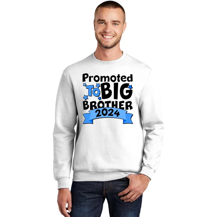 Cute Promoted To Big Brother 2024 Sweatshirt