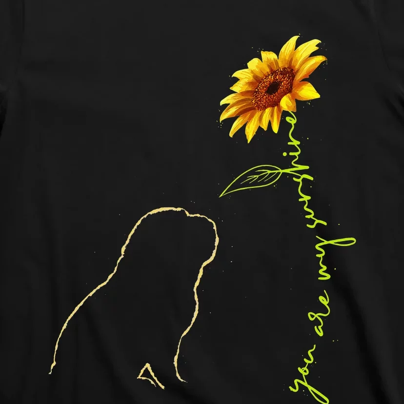 Cute Pug You Are My Sunshine Dog Lover T-Shirt