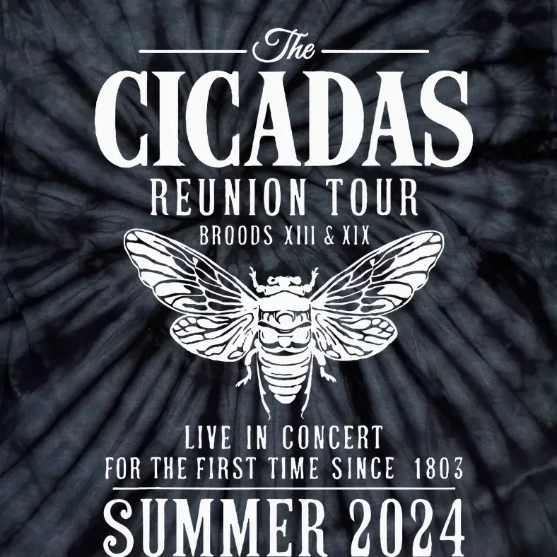 Cicada Reunion 2024 Brood Xiii Xix Summer 2024 Tie-Dye T-Shirt