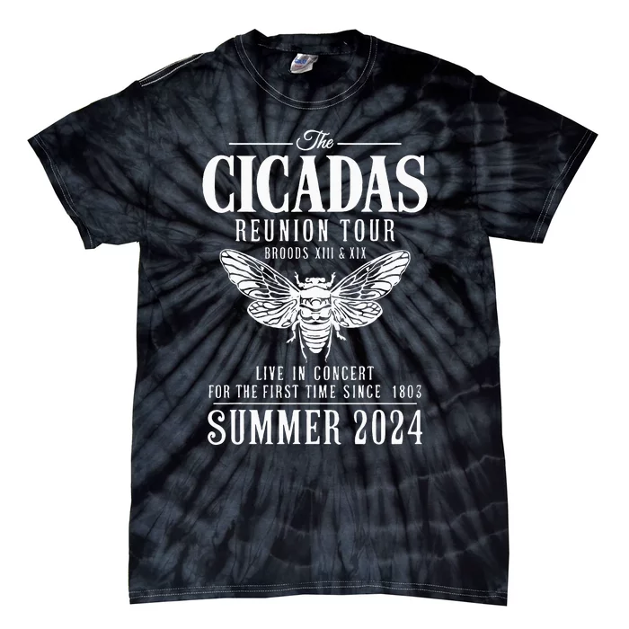 Cicada Reunion 2024 Brood Xiii Xix Summer 2024 Tie-Dye T-Shirt