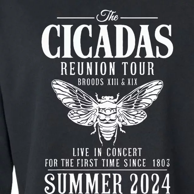 Cicada Reunion 2024 Brood Xiii Xix Summer 2024 Cropped Pullover Crew