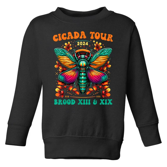 Cicada Reunion Broods Xix & Xiii Vintage Cicada 2024 Gift Toddler Sweatshirt