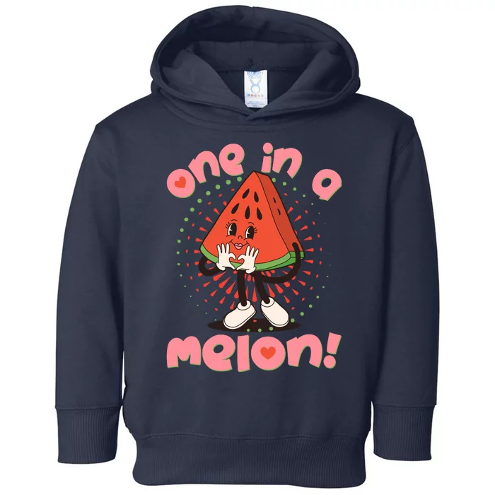 Cute Retro Cartoon Watermelon One In A Melon Toddler Hoodie