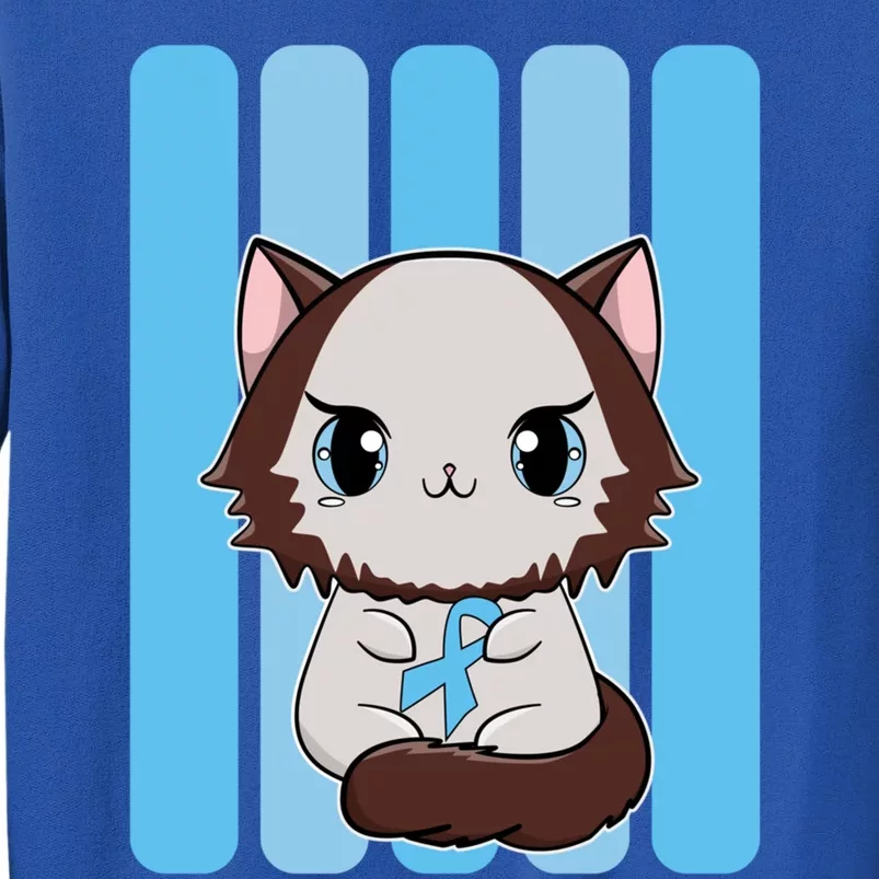 Cute Ragdoll Cat Anime Kitten Diabetes Awareness Gift Sweatshirt