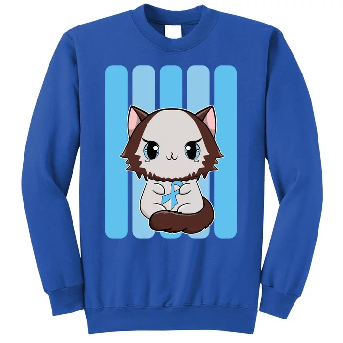 Cute Ragdoll Cat Anime Kitten Diabetes Awareness Gift Sweatshirt