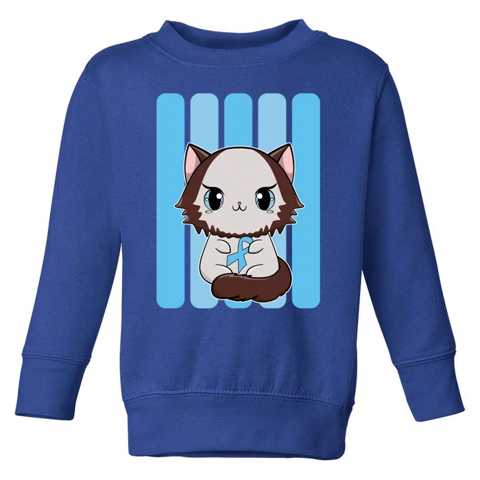 Cute Ragdoll Cat Anime Kitten Diabetes Awareness Gift Toddler Sweatshirt