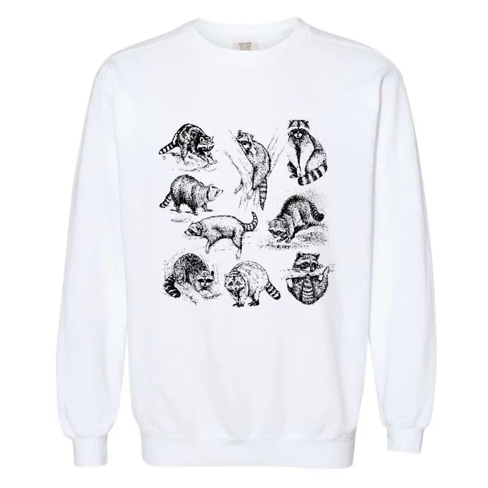 Cute Raccoon Drawing Racoon Portrait Sketch Wild Trash Panda Garment-Dyed Sweatshirt