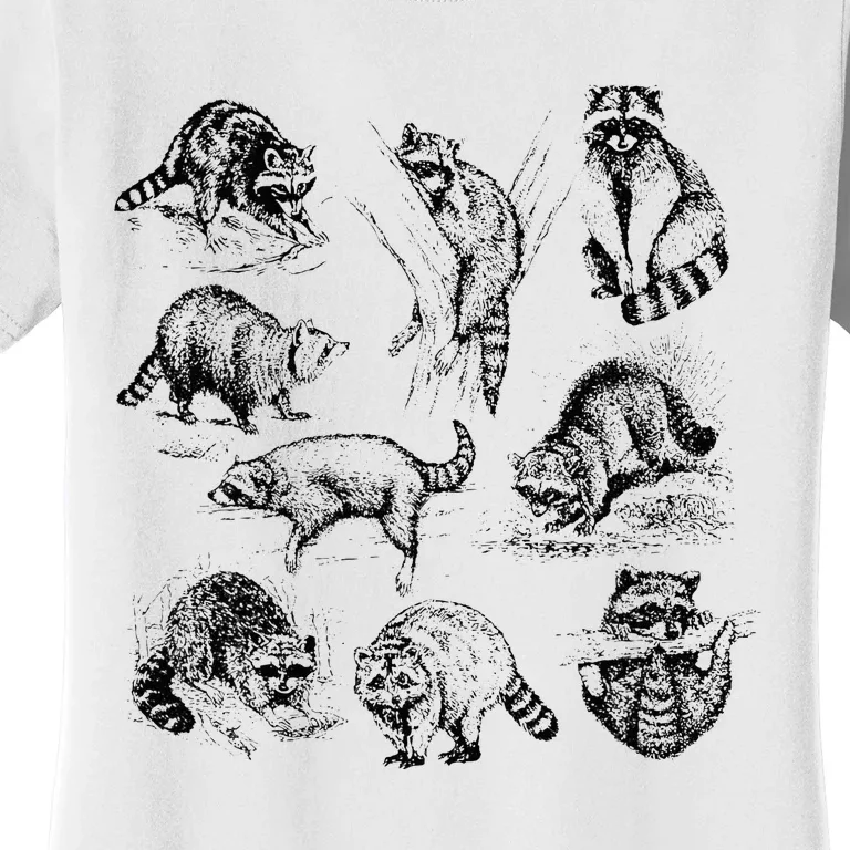 Cute Raccoon Drawing Racoon Portrait Sketch Wild Trash Panda Women's T-Shirt