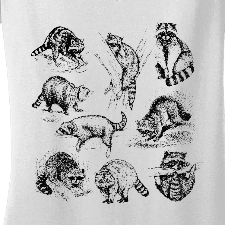 Cute Raccoon Drawing Racoon Portrait Sketch Wild Trash Panda Women's V-Neck T-Shirt