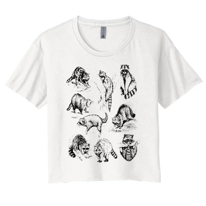 Cute Raccoon Drawing Racoon Portrait Sketch Wild Trash Panda Women's Crop Top Tee