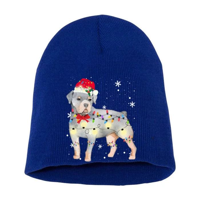 Christmas Rottweiler Funny Gift Short Acrylic Beanie