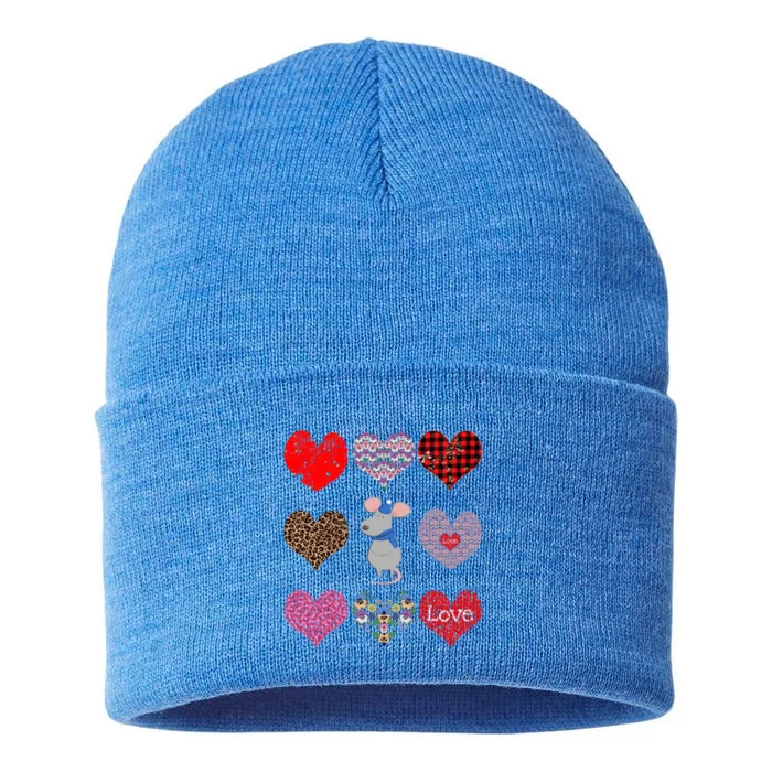 Cute Rat Funny Retro Floral Hearts Pattern Valentines Day Gift Sustainable Knit Beanie