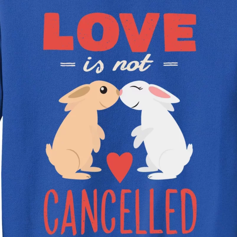 Cuddly Rabbits Gift Big Love Is Not Callnised Cute Gift Sweatshirt