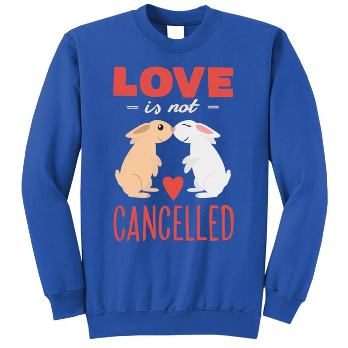 Cuddly Rabbits Gift Big Love Is Not Callnised Cute Gift Sweatshirt