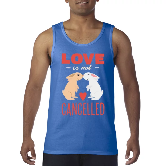 Cuddly Rabbits Gift Big Love Is Not Callnised Cute Gift Tank Top