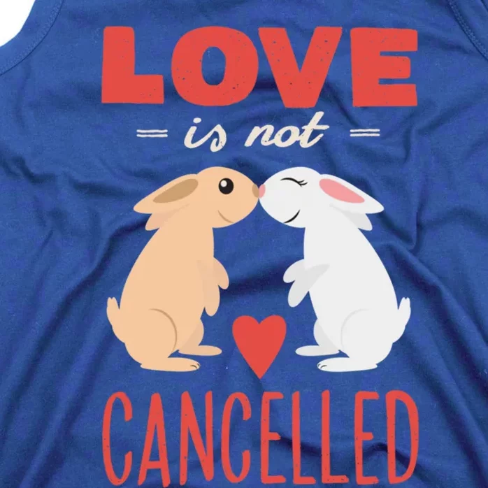 Cuddly Rabbits Gift Big Love Is Not Callnised Cute Gift Tank Top