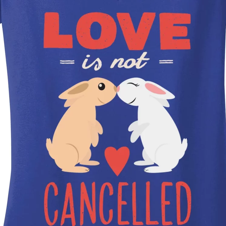 Cuddly Rabbits Gift Big Love Is Not Callnised Cute Gift Women's V-Neck T-Shirt